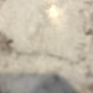 Meet your Posher, Carter